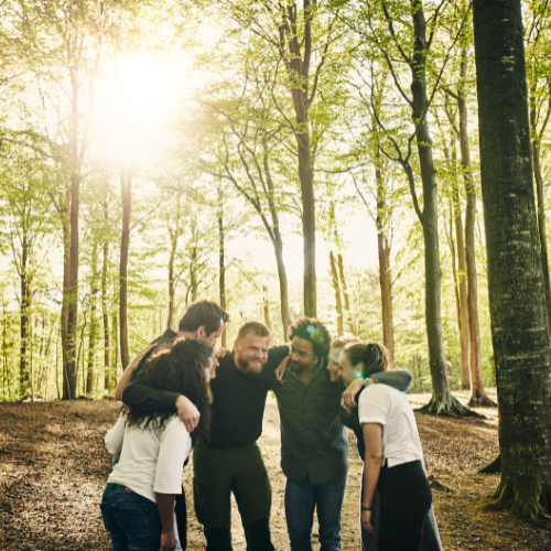 A small group of adults in casual clothing, having a team huddle in a sunny woodland area