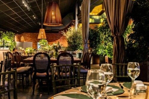 an indoor dining room with lots of greenery, to represent a venue review blog