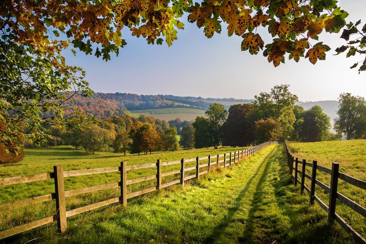 Rolling Rutland countryside near Stamford, the rural setting for Nobu Woolfox